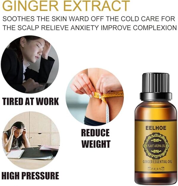 6PCS Belly Drainage Ginger Oil, 10ml Ginger Essential Oil Slimming Tummy Ginger Oil, Lymphatic Drainage Ginger Oil, Natural Drainage Ginger Oil Essential Relax Massager Liquid, For Swelling And Pain - Image 4